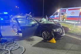 Tragiczny finał zderzenia z łosiem na S61. Nie żyje 40-letnia pasażerka