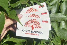 wysokie koszty i niewielkie korzyści z programu