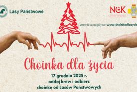 Akcja Lasów Państwowych "Choinka dla życia"