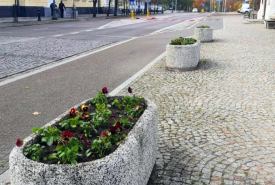 Jesienne nasadzenia roślin ozdobnych w Suwałkach Pracownicy Działu Zieleni Miejskiej Zarządu Dróg i Zieleni w Suwałkach