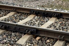 Maszynista zatrzymał lokomotywę i sprzątnął gałęzie