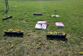 akcja sprzątania terenów zielonych naszego miasta