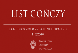 Nowe informacje w sprawie śmiertelnego potrącenia 