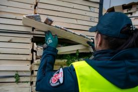 Kontrabanda była ukryta w gruzińskiej ciężarówce z natką pietruszki