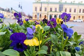 w Suwałkach już trwają przygotowania do sezonu wiosenno-letniego