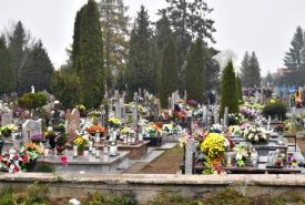  niewielkie płyty nagrobne wkomponowanie w naturalną zieleń