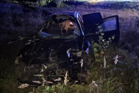 Zwierzę zginęło na miejscu, a kierowca z obrażeniami trafił do szpitala