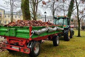 Koszenie trawników, porządkowanie rabat i żywopłotów oraz przycinanie drzew