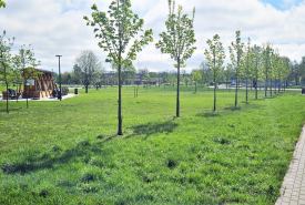 umowy na zagospodarowanie przestrzeni publicznej w mieście