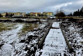 Władze miasta kontynuują realizację projektu „Zielone Suwałki”