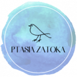 Domki nad jeziorem do wynajęcia Augustów Domki nad jeziorem do wynajęcia Augustów