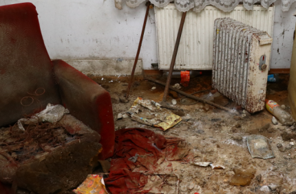 Zaniedbanie zwierząt to też przemoc