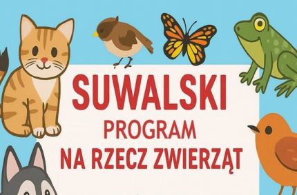 utworzenie w mieście "Suwalskiego Programu na Rzecz Zwierząt"