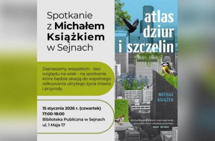 Czy krawężnik może decydować o losie drzewa?