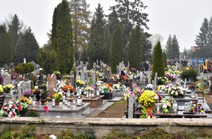  niewielkie płyty nagrobne wkomponowanie w naturalną zieleń