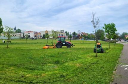 W Suwałkach rozpoczęły się tegoroczne prace związane z koszeniem